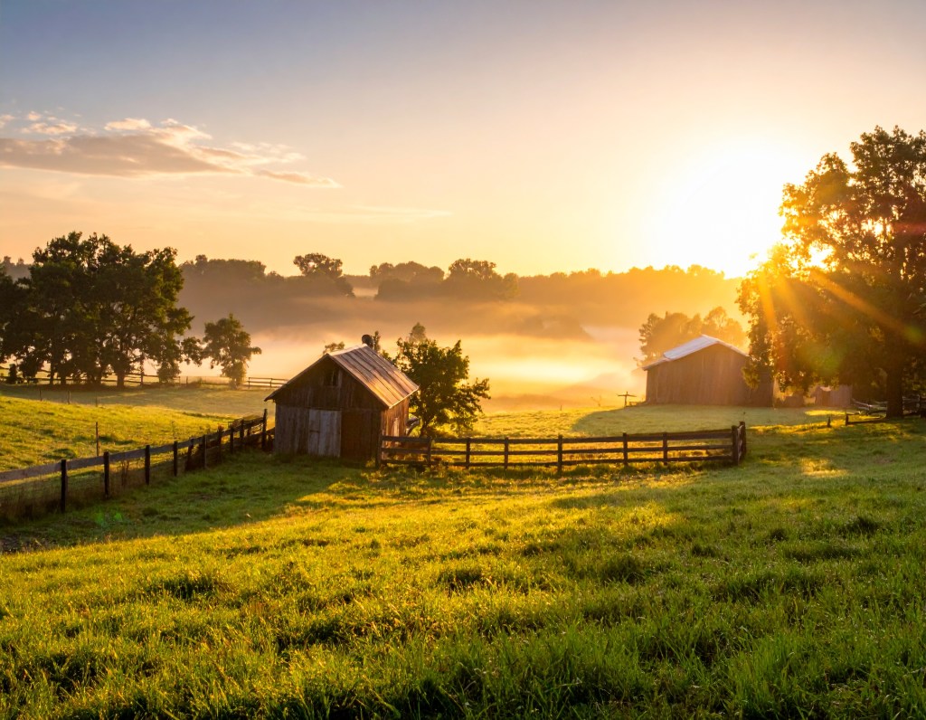 REMEMBER IS A PLACE TO&nbsp;GO