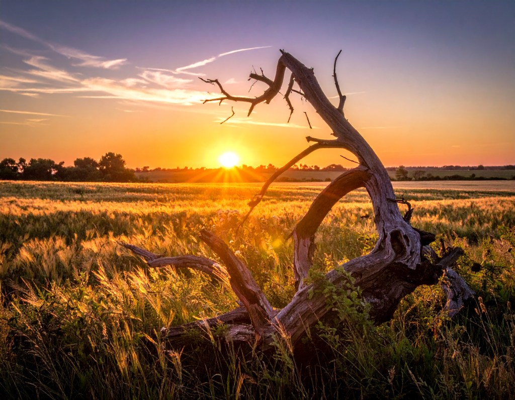 the dying art of&nbsp;summer